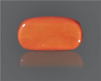 Red Coral Natural Certified 14.81 RTS ( 8148 )